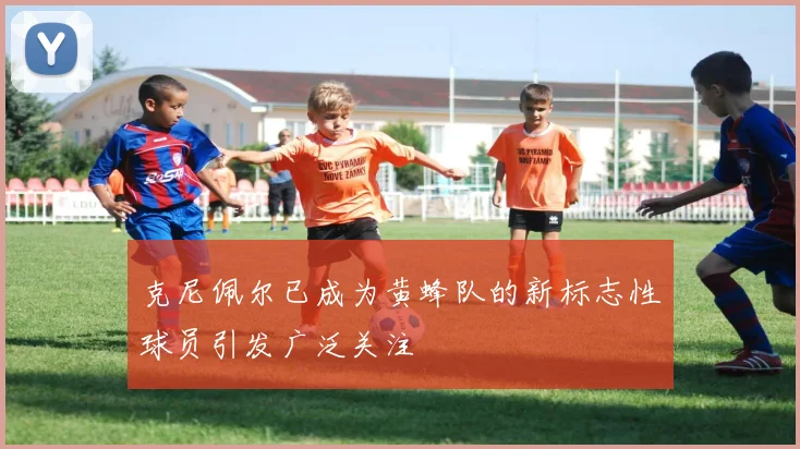 克尼佩尔已成为黄蜂队的新标志性球员引发广泛关注